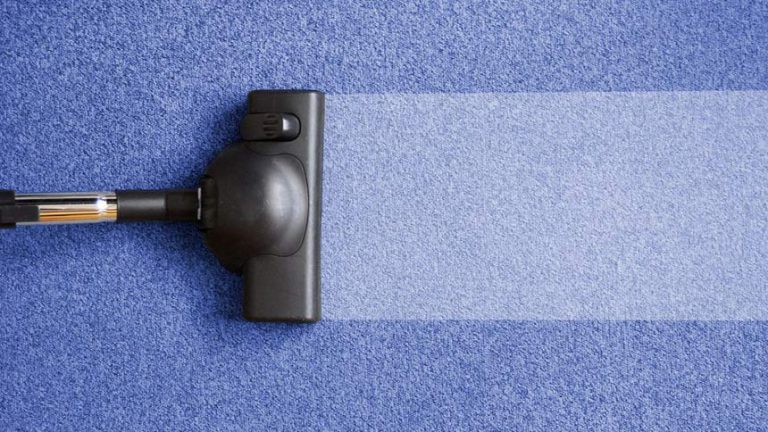 professional carpet cleaning in Charlotte, NC